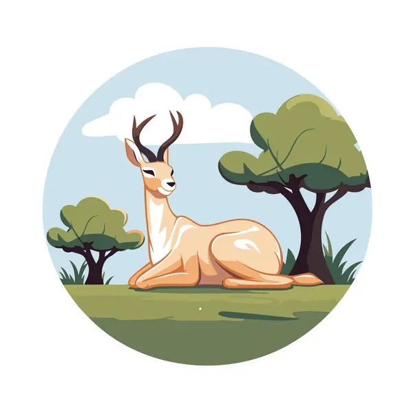 Gazelle Savanne Ronde Pictogram Vector Illustratie Grafisch Ontwerp — Stockvector