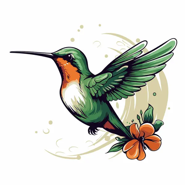 Kolibřík Květy Ibišku Vektorová Ilustrace — Stockový vektor