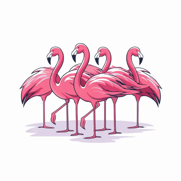Flamingo Kuşları Beyaz Arka Planda Izole Edilmiş Çizgi Film Tarzında — Stok Vektör