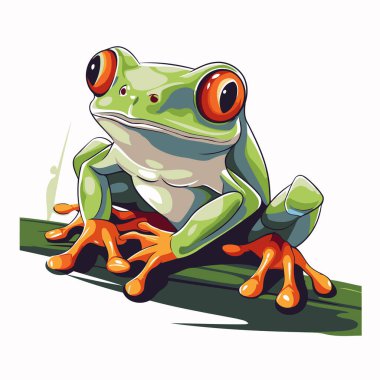 Kurbağa beyaz arka planda izole edilmiş. Vektör çizimi. Eps 10.
