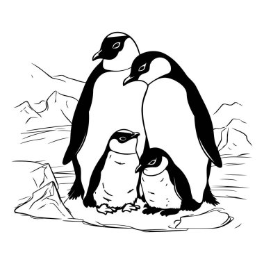 Penguen ailesi. Penguenlerin siyah-beyaz çizimi.