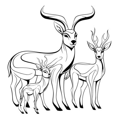 Bir çift antilobun siyah ve beyaz vektör çizimi.