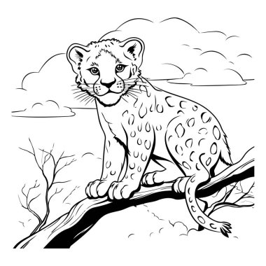 Ağaç dalındaki çita. Vahşi bir hayvanın vektör çizimi.