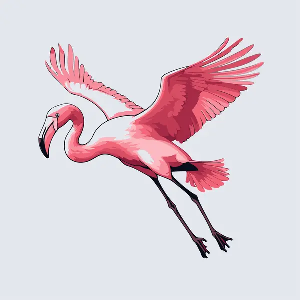 Pembe Flamingo Kuşu Flamingo Kuşunun Vektör Çizimi — Stok Vektör