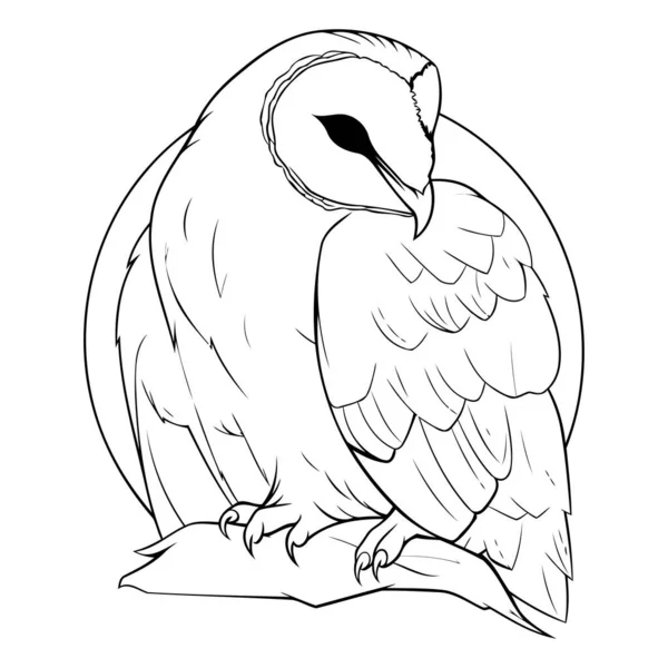 Illustration Owl White Background Vector Illustration — Stock Vector