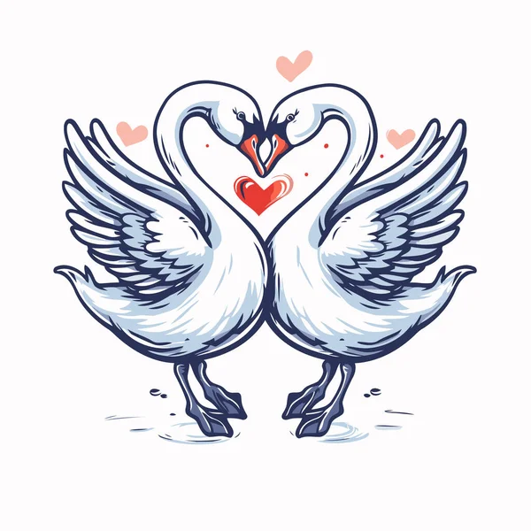 Couple Swans Love Sketch Your Design Vector Illustration — Stock Vector