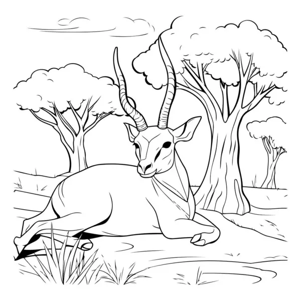 Savanadaki Siyah Beyaz Antilop Vektör Illüstrasyonu — Stok Vektör