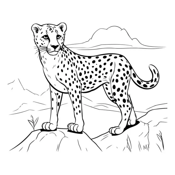 Cheetah Standing Rock Hand Drawn Vector Illustration — Stock Vector