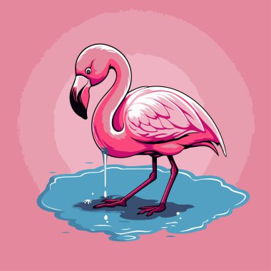Suda pembe flamingo. Bir flamingonun vektör illüstrasyonu.