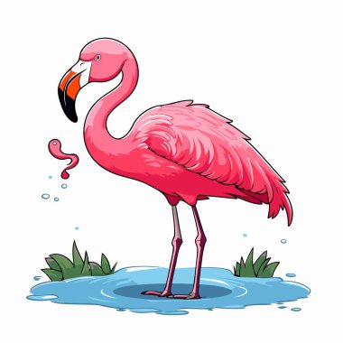 Beyaz arka planda pembe flamingo. Çizgi film tarzında vektör illüstrasyonu.
