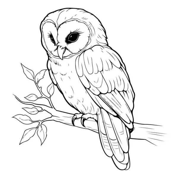 Tawny Owl Sitting Tree Branch Vector Illustration — Stock Vector