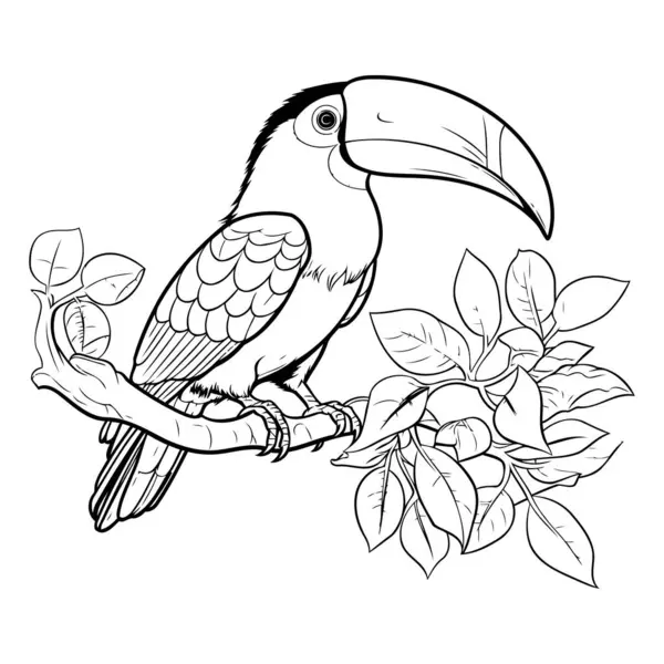 Tropical bird toucan sitting on a branch. Coloring book for adults.