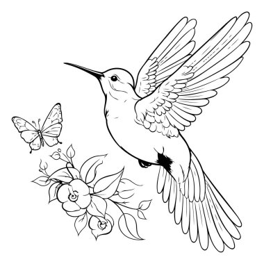 Çiçekli ve kelebekli sinekkuşu. Siyah ve beyaz vektör çizimi.