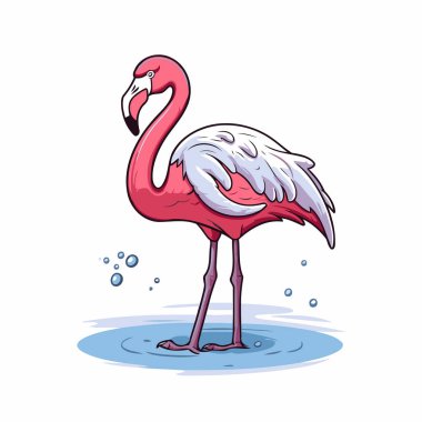 Flamingo kuşu suda. Vektör illüstrasyonu beyaz arkaplanda izole edildi.