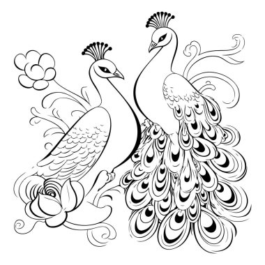 Tavuskuşu ve Tavuskuşu. Siyah ve beyaz vektör çizimi.