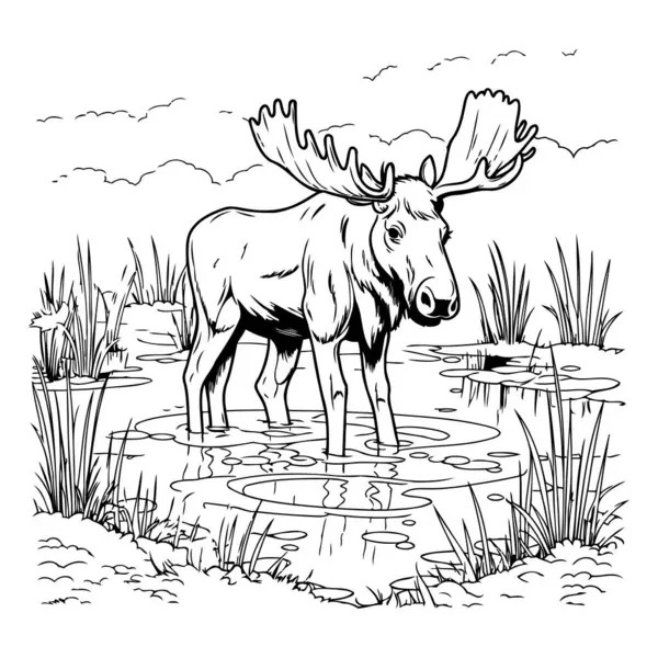 Moose Pond Vector Illustration Moose — Stock Vector