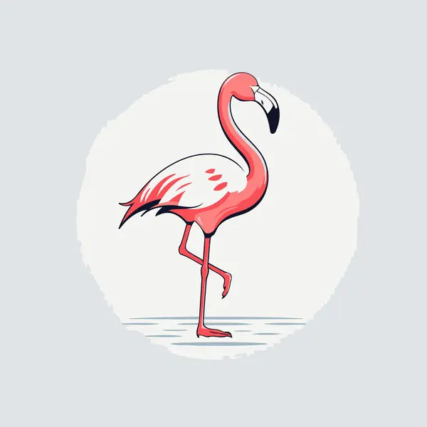 Flamingo Vektör Çizimi Beyaz Arkaplanda Izole — Stok Vektör
