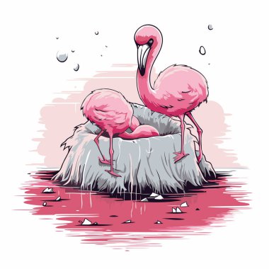 Suda pembe flamingo. Beyaz arkaplanda vektör illüstrasyonu.