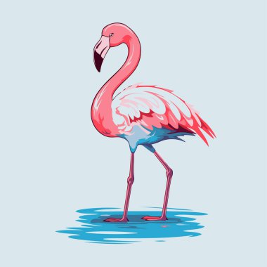 Flamingo. Mavi arkaplanda bir flamingonun vektör illüstrasyonu.
