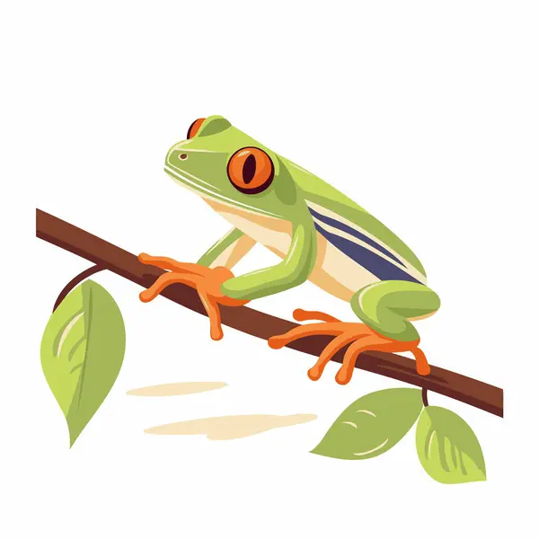 Frog Branch Vector Illustration Isolated White Background — Stock Vector