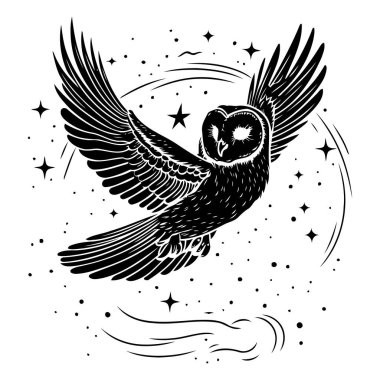 Gece gökyüzünde uçan baykuş. Siyah ve beyaz vektör çizimi.