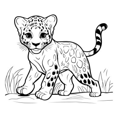 Kar leoparı. Vektör çizimi. beyaz arkaplanda izole edilmiş.