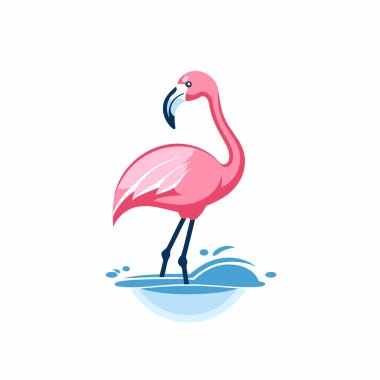 Flamingo. Vektör çizimi. Beyaz arkaplanda izole.