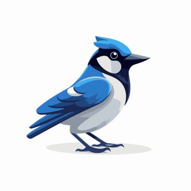 Cartoon blue tit bird isolated on white background. Vector illustration.