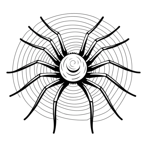 Araña Negra Sobre Fondo Blanco Ilustración Vectorial Estilo Dibujos Animados — Archivo Imágenes Vectoriales