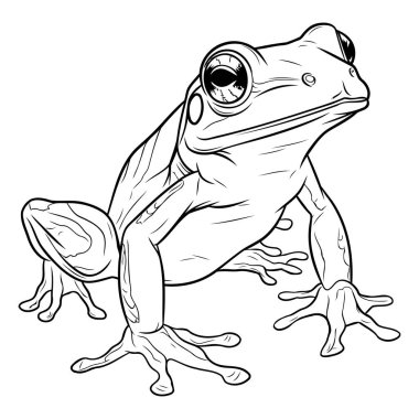 Beyaz arka planda bir kurbağanın çizimi. tasarım için çizim