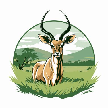 Erkek Impala 'nın vektör çizimi. Çimlerde antilop