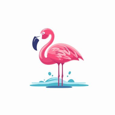 Suda pembe flamingo. Vektör illüstrasyonu beyaz arkaplanda izole edildi.
