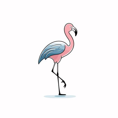 Flamingo. Beyaz arkaplanda pembe bir flamingonun vektör çizimi.