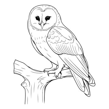 Baykuş ağaç dalında oturuyor. Siyah ve beyaz vektör çizimi.