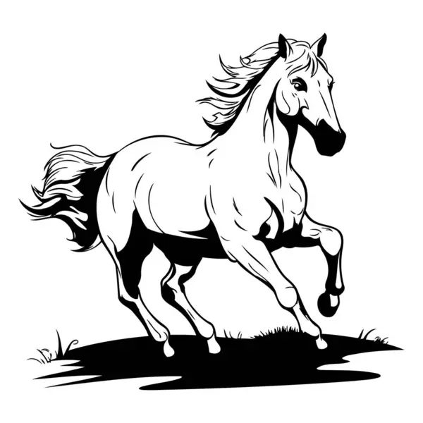 Black White Vector Illustration Horse Galloping Field — Stock Vector
