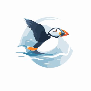 Martı vektör çizimi. Beyaz bir arkaplanda izole edilmiş.