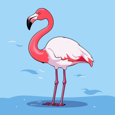Flamingo. Vektör çizimi. Mavi arkaplanda izole.