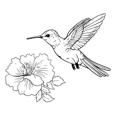 Sinekkuşu ve amber çiçeği. El çizimi vektör illüstrasyonu.