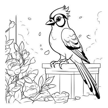 Çiçeklerle çitin üzerinde oturan kuş. Yetişkinler için boyama kitabı.