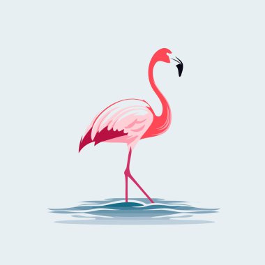Suda pembe flamingo. Bir flamingonun vektör illüstrasyonu.