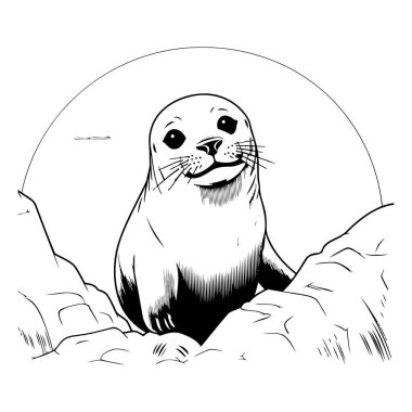 Kayanın üzerinde duran bir fokun vektör çizimi. El çizimi mühür.