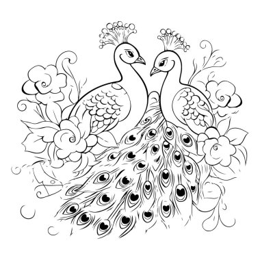 Tavuskuşu ve kuş karalama tarzında. tasarım için çizim