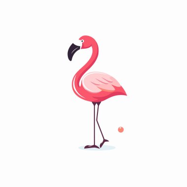 Flamingo kuş vektör çizimi beyaz arkaplanda izole edildi.