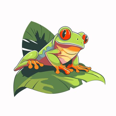 Yaprağın üzerindeki kurbağa. Vektör illüstrasyonu beyaz arkaplanda izole edildi.