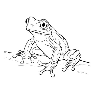 Beyaz arka planda bir kurbağanın çizimi. tasarım için çizim
