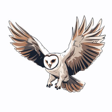 Havada uçan bir baykuş tasviri. Vektör illüstrasyonu.