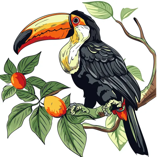 Bir ağacın dalında oturan bir Tukan. Vektör illüstrasyonu