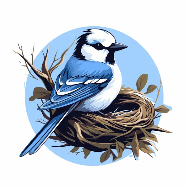 Cute Blue Tit Bird Sitting Nest Vector Illustration — Stok Vektör