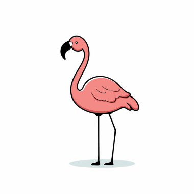 Flamingo. Vektör çizimi. Beyaz arkaplanda izole.