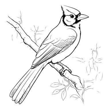 El çizimi kuş dalı. Robot resim biçiminde vektör illüstrasyonu.